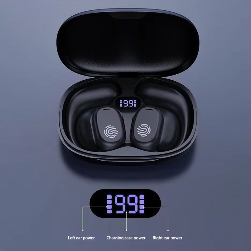 Lenovo Draadloze Beengeleiding - Sports Earphone Hook recensie en prijs